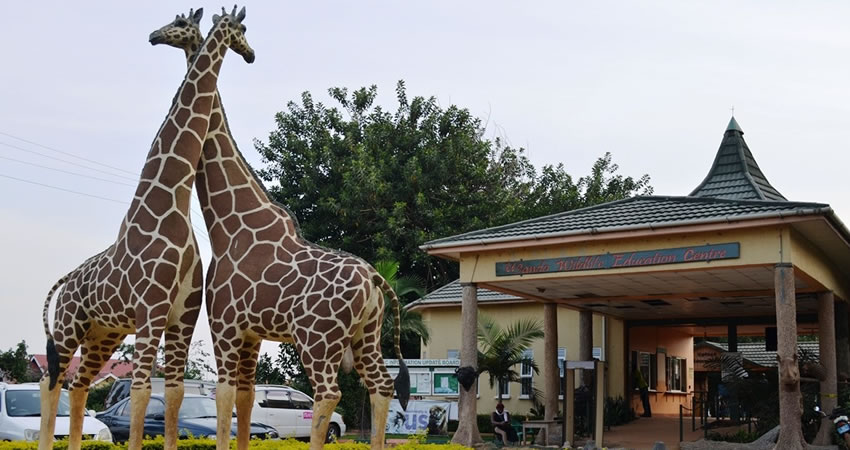 Uganda Wildlife Education center